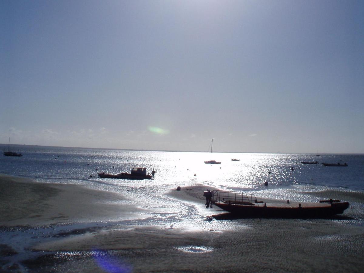 La Cabane Du Truquet Lege-Cap-Ferret Bagian luar foto